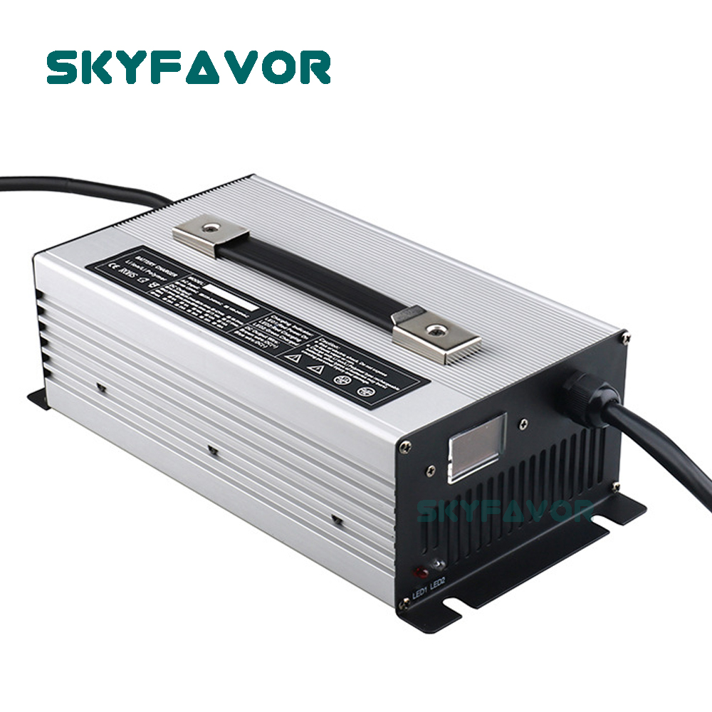 Özel profesyonel 12 V pil şarj - Lifepo4 Battery Charger Smart Automatic incelemesi ve fiyatı