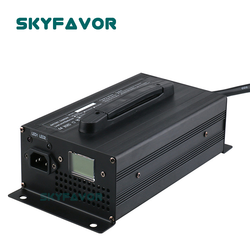 Özel profesyonel 12 V pil şarj - Lifepo4 Battery Charger Smart Automatic incelemesi ve fiyatı