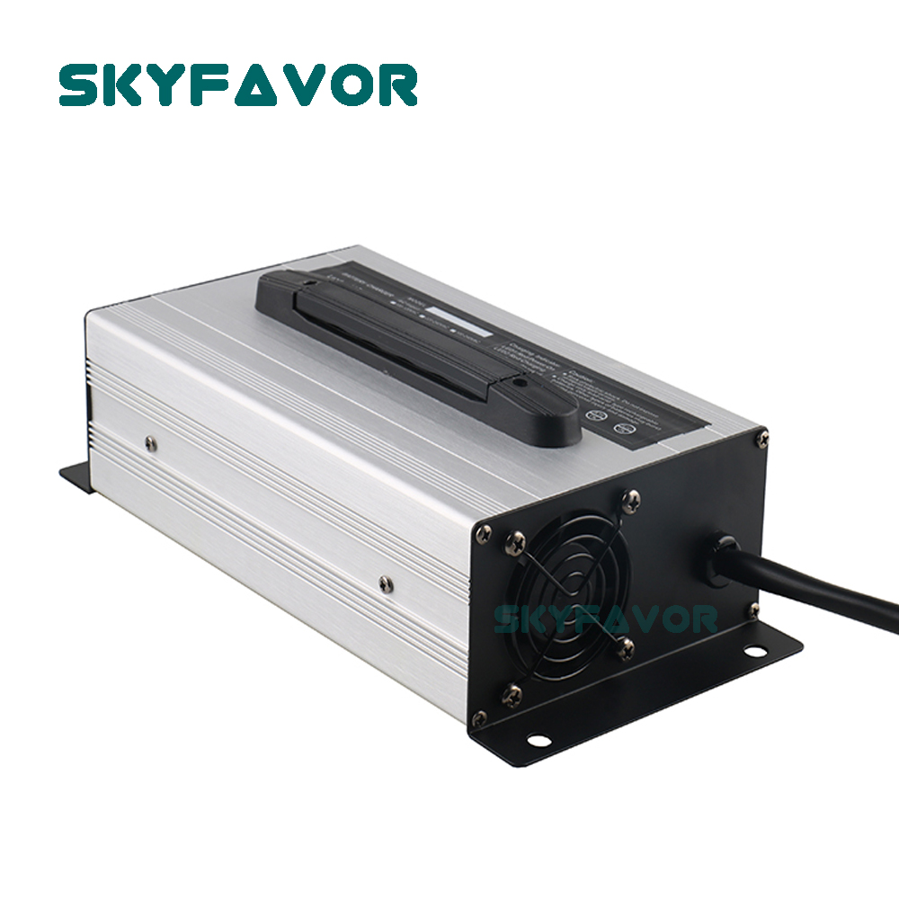 Özel profesyonel 12 V pil şarj - Lifepo4 Battery Charger Smart Automatic incelemesi ve fiyatı
